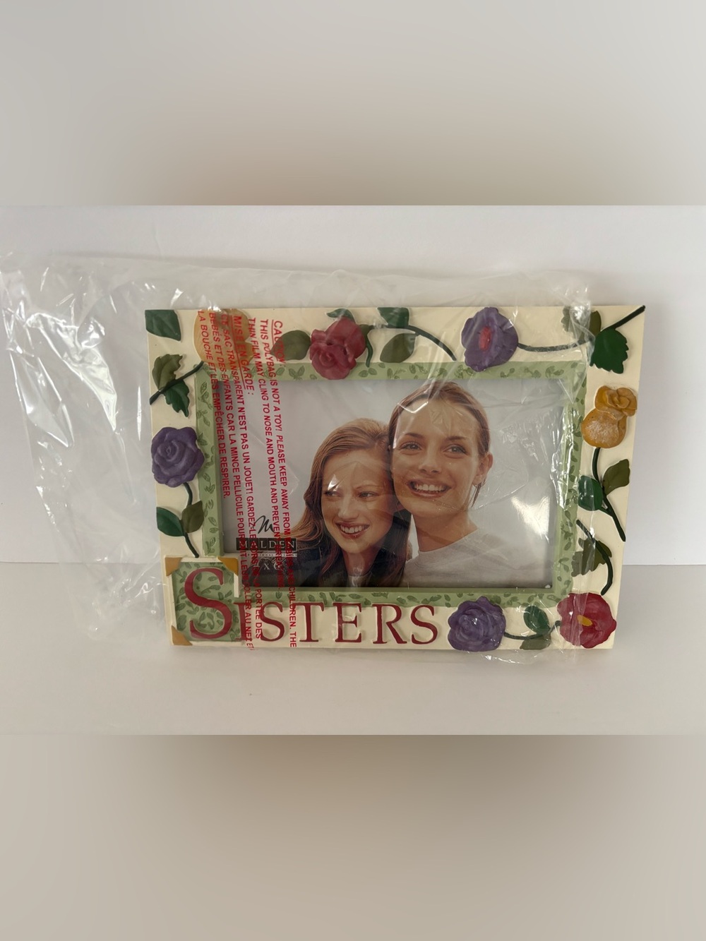 Malden Floral 'Sisters' Picture Frame with Red, Purple, Green Accents